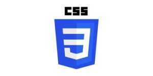 CSS