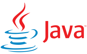fastest programming language Java