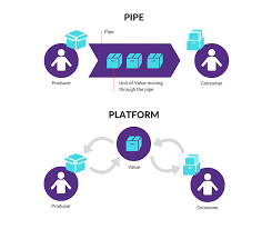pip and platform